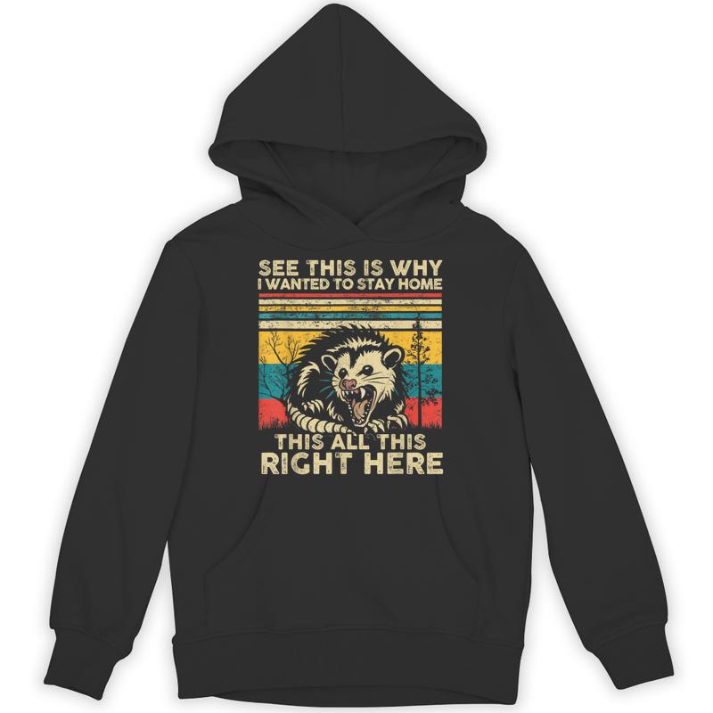 see why wanted stay home right unisex hoodie 20250320145233 cbnfzud4 s4.jpg