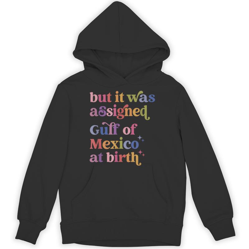 assigned gulf mexico birth unisex hoodie 20250321064930 nfjcxubj s4.jpg