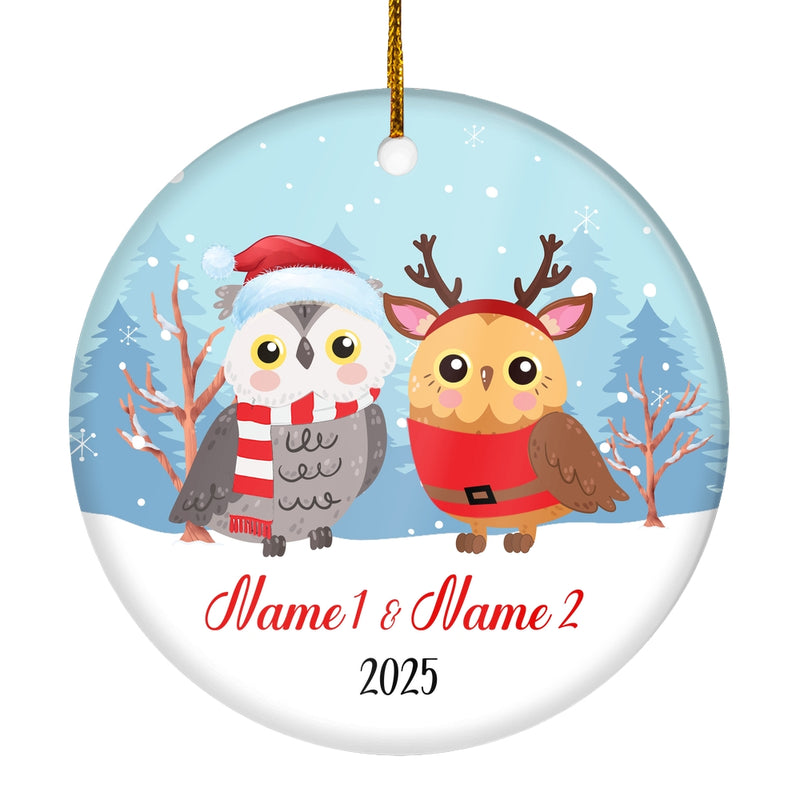 Personalized Owl Brother or Sister Christmas Ornament for Siblings Little Brother Sister with Names Customized Christmas Tree Ornament Circle Ornament Mockup 1 800x.jpg