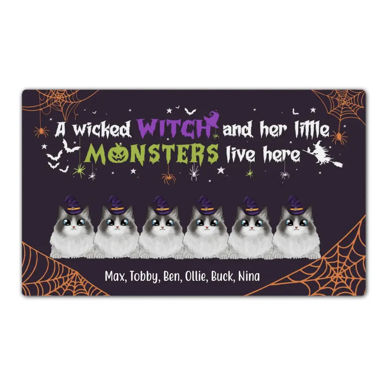 64cc7a42076f3 800x800 crop center.jpg