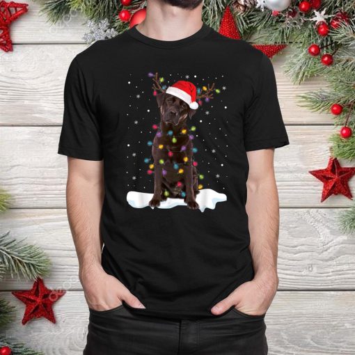 labrador retriever dog chocolate lab lover christmas shirt 1 510x510 1.jpg