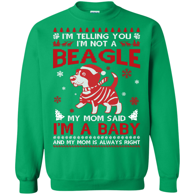 DynamicImageHandler e411b554 736e 434e 963c 8428acc67fc8 650x.png