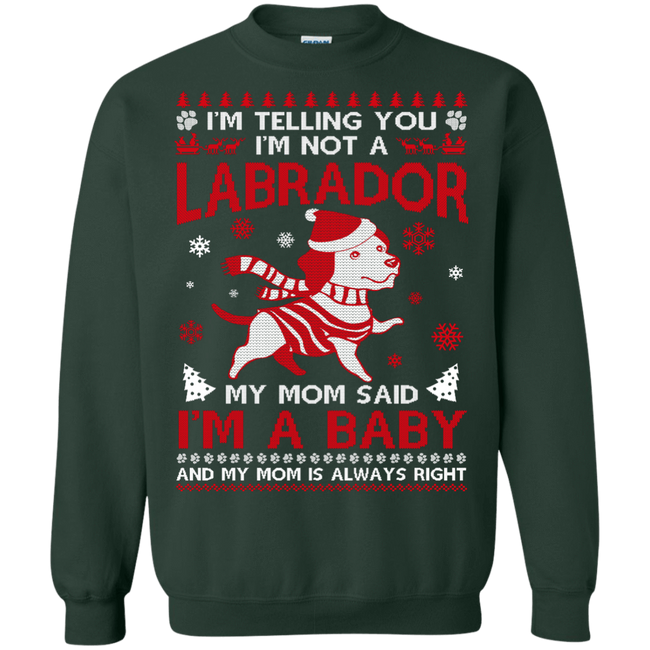 DynamicImageHandler 3437d693 e0f8 4147 9f19 f89c3b2a34f2 650x.png