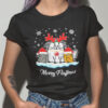Merry Fluffmas Cat Lover Christmas Shirt.jpg