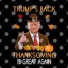 Trumps Back Thanksgiving Is Great Again 2024 T Shirt 3.jpg