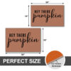 Hey There Pumpkin Doormat.jpg