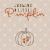 Growing A Little Pumpkin Pregnancy Announcement Thanksgiving.jpg