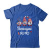 Shenanigans Squad 4th Of July Gnomes USA Independence Day Classic T Shirt Royal 600x 1.jpg