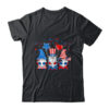 Gnomes Celebrating Independence Day 4th Of July Patriotic Classic T Shirt Black 600x 1.jpg